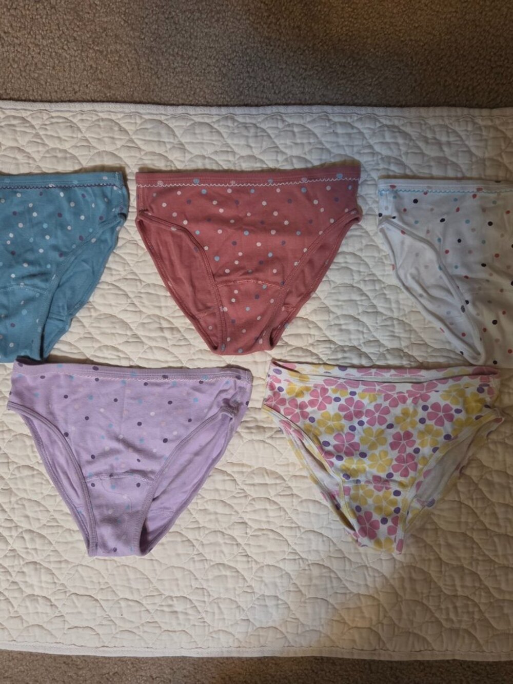 Set of 5 Hanna Andersson 100% Organic Cotton Underwear Size XL